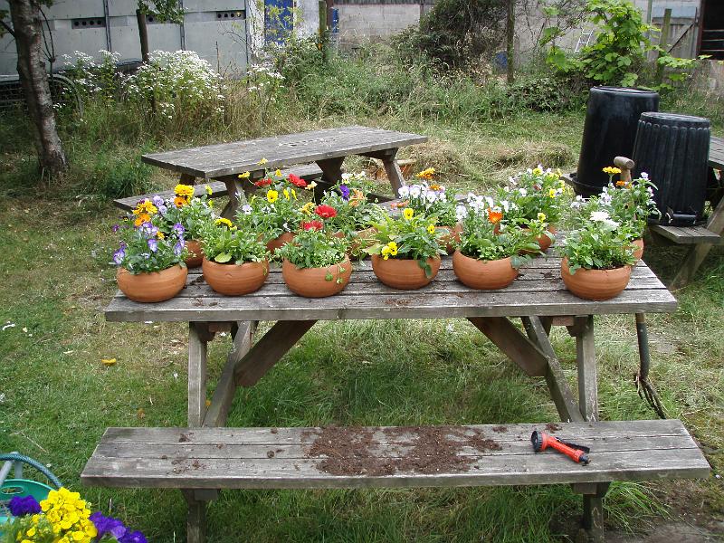Table pieces.jpg
